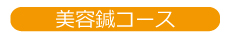 美容鍼コース_03